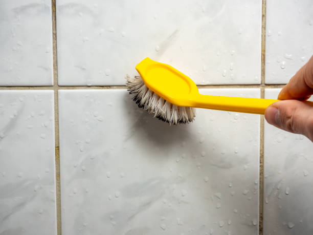 Professional Mold Removal in Purcellville, VA